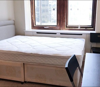 Waterloo｜White House Apartments 301WH｜3B2B