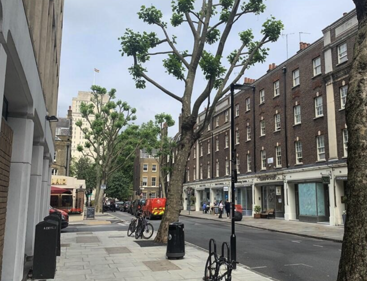 King's Cross｜Gower Mews Mansions｜3B1B